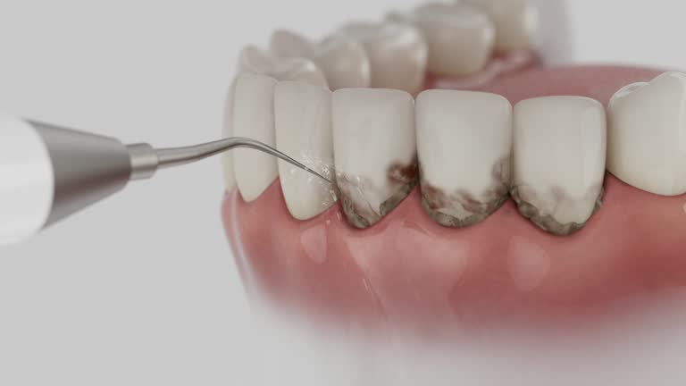 Reliable Dental contractor in Lutz, FL by Dentist Open Now